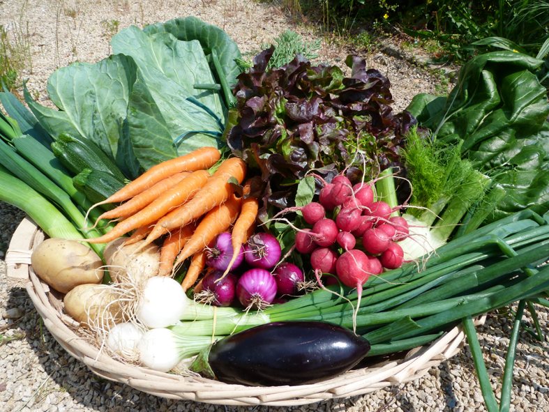 panier de légumes