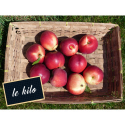 Nectarine blanche
