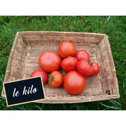 Tomate