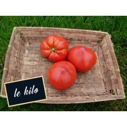 Tomate coeur de boeuf