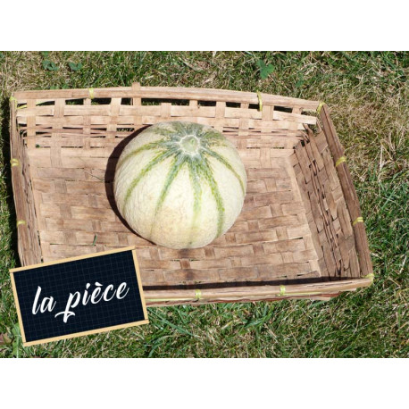 Melon