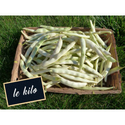 Haricot blanc demi-sec
