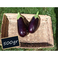 Aubergine