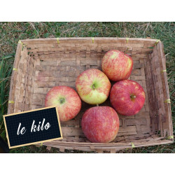 Pomme Jonagored