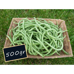 haricot vert