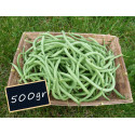 Haricot vert