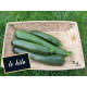 Courgette