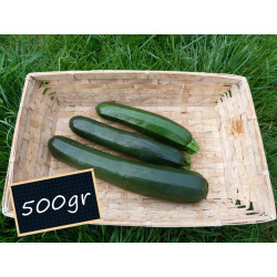 Courgette