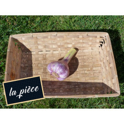 Ail fraiche