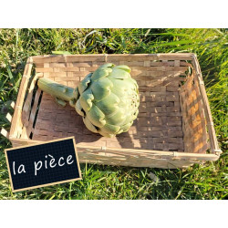 Artichaut