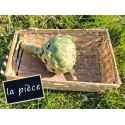 Artichaut