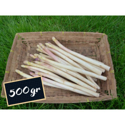 Asperges