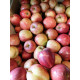 Pomme Royal Gala