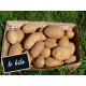 Pomme de terre Monalisa